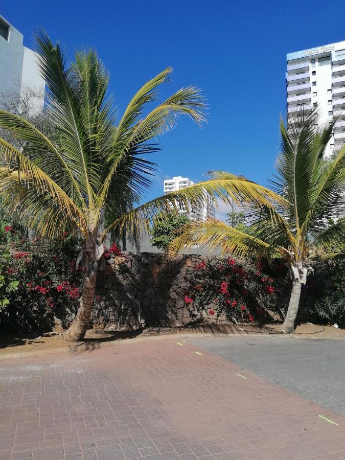 Cosy Studio On Rooftop Playa Paraiso エクステリア 写真
